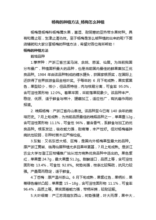 杨梅的种植方法_杨梅怎么种植