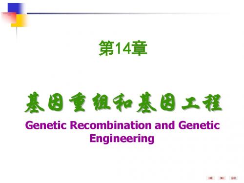 2010-第14章基因重组和基因工程 PPT课件