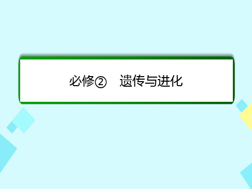 高考生物一轮复习第17讲基因在染色体上伴性遗传课件新人教版必修2