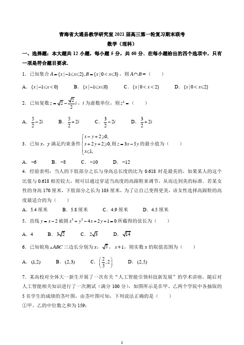 青海省西宁市大通回族土族自治县2020-2021学年高三上学期第一轮复习期末联考数学(理)试题