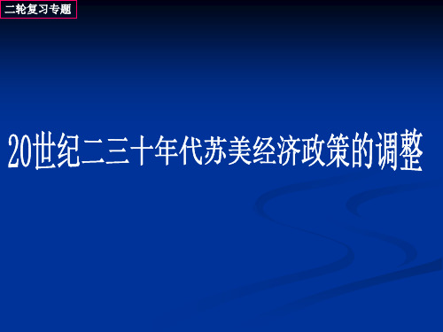 20世纪二三十年代苏美经济政策的调整共15页文档