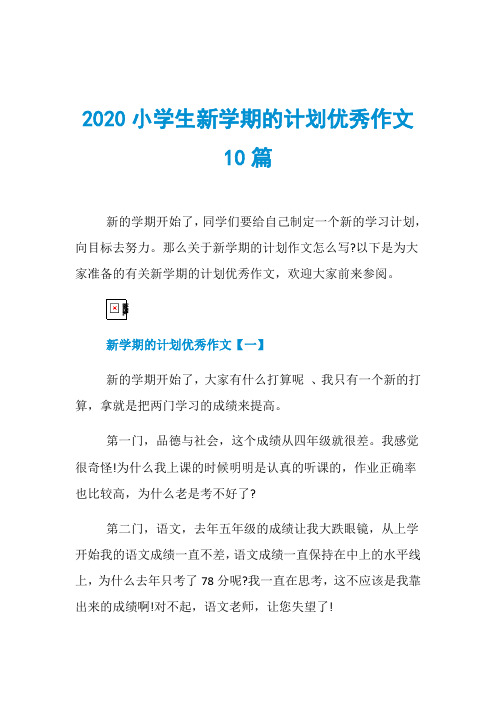 2020小学生新学期的计划优秀作文10篇