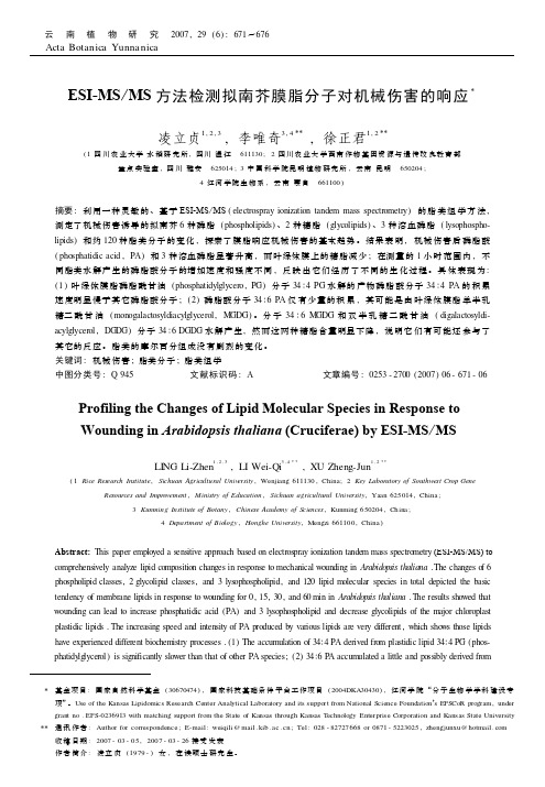 ESI-MS MS方法检测拟南芥膜脂分子对机械伤害的响应