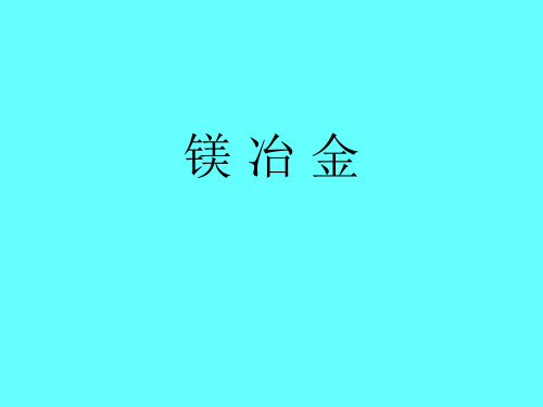 镁冶金