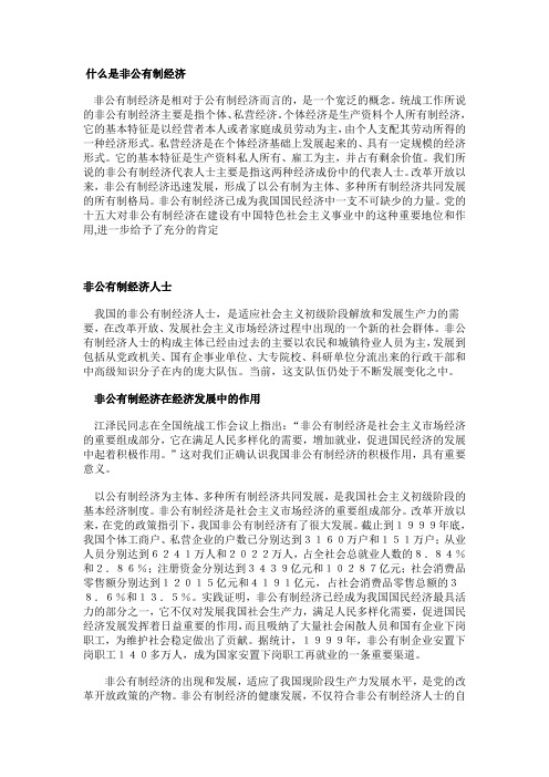 什么是非公有制经济