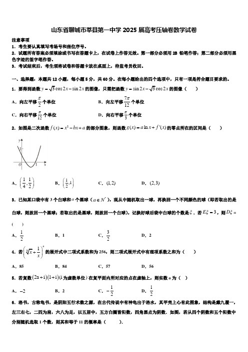 山东省聊城市莘县第一中学2025届高考压轴卷数学试卷含解析