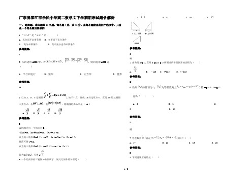 广东省湛江市乐民中学高二数学文下学期期末试题含解析