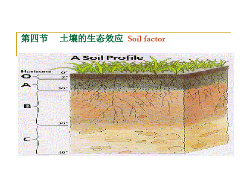 第三章第四节土壤的生态效应