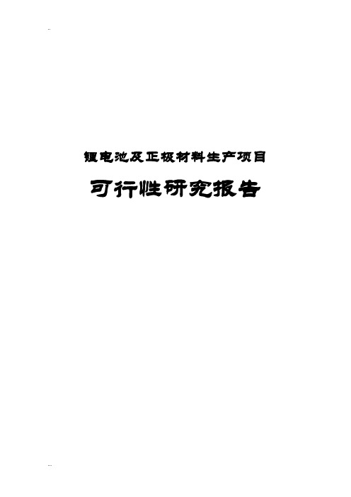 锂电池及正极材料生产项目可行性研究报告