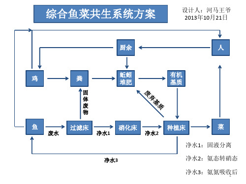 鱼菜共生方案ppt课件