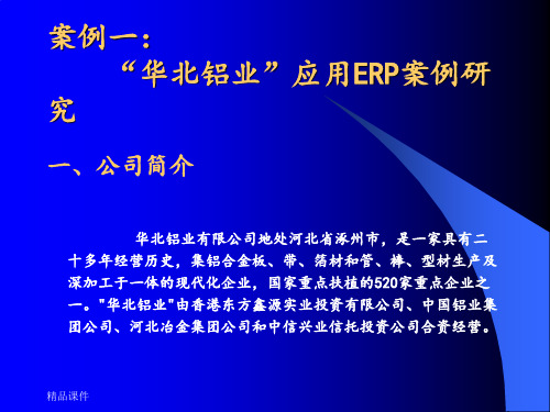 ERP实施成功案例ppt课件