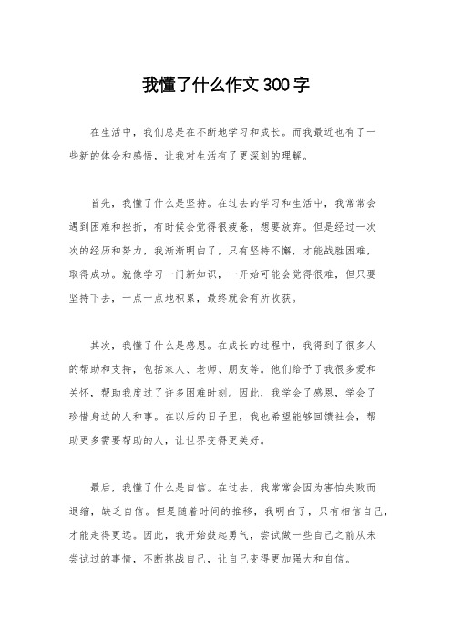 我懂了什么作文300字