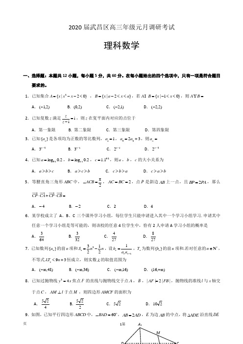 2020届武昌区高三元月调研考试数学(理)试题+参考答案+评分标准