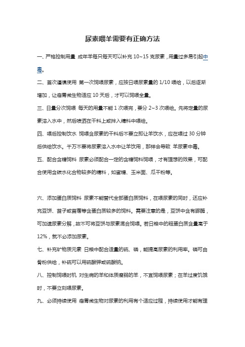 尿素喂羊需要有正确方法