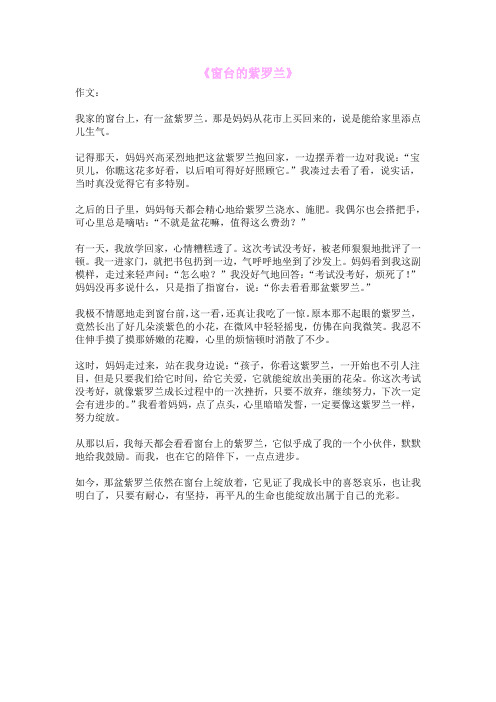 《窗台的紫罗兰》