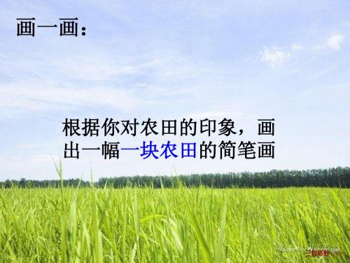 生物与环境组成生态系统徐淑芬(课件1).ppt