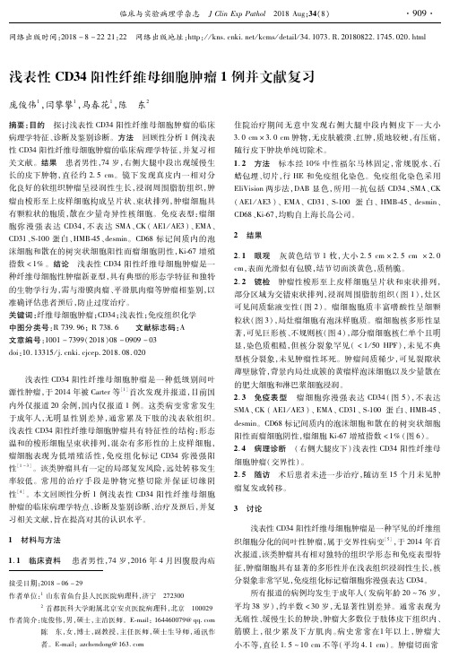 浅表性CD34阳性纤维母细胞肿瘤1例并文献复习