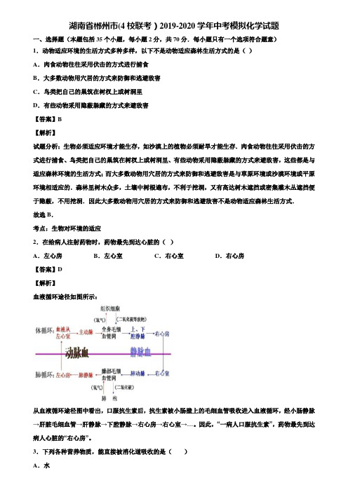 湖南省郴州市(4校联考)2019-2020学年中考模拟化学试题含解析