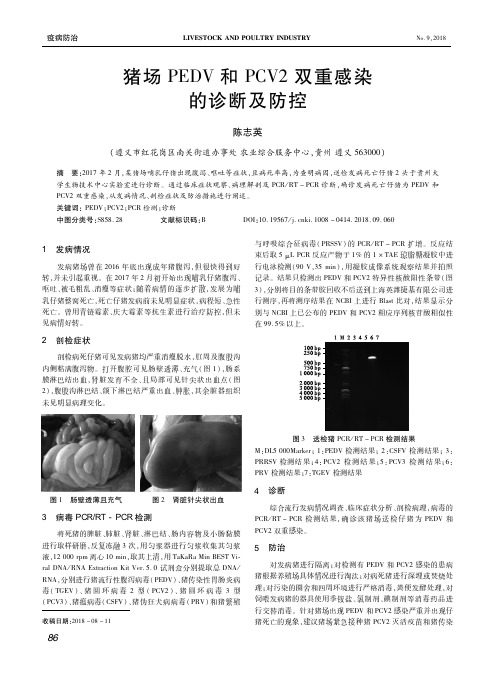 猪场PEDV和PCV2双重感染的诊断及防控