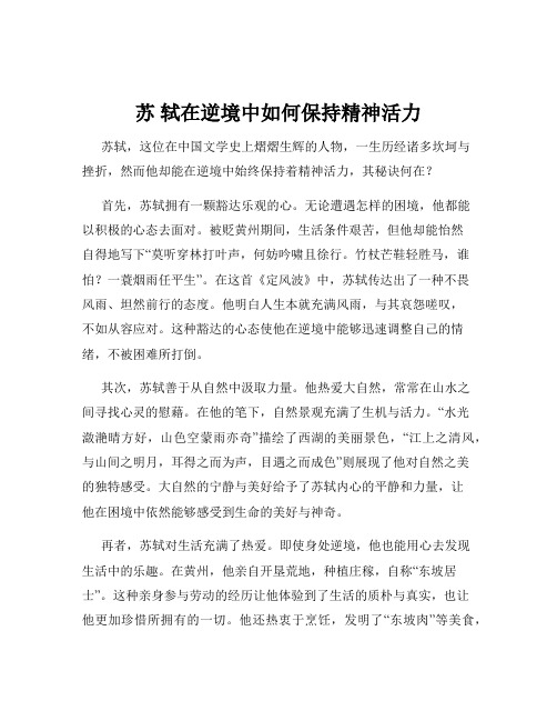 苏 轼在逆境中如何保持精神活力