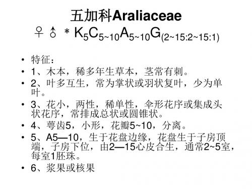 药用植物学-五加科和伞形科