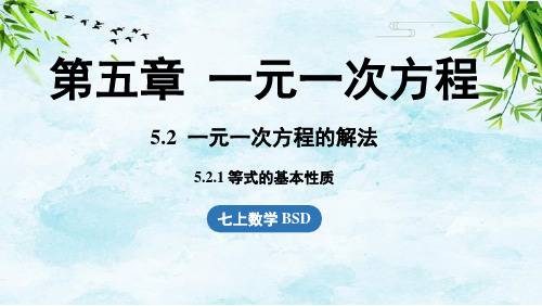 5.2 一元一次方程的解法课时1七年级上册数学北师大版