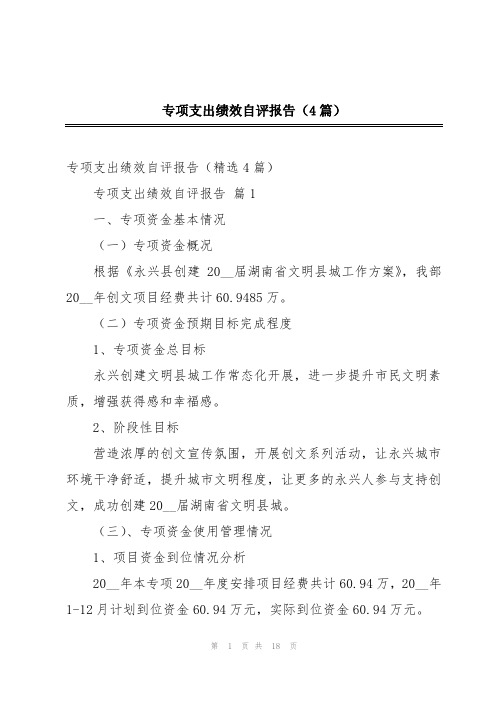 专项支出绩效自评报告(4篇)