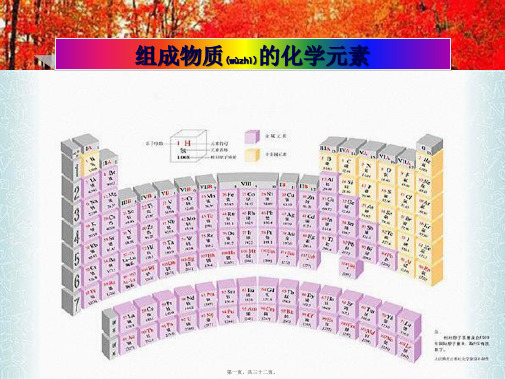 九年级化学上册 元素与元素符号复习课件 