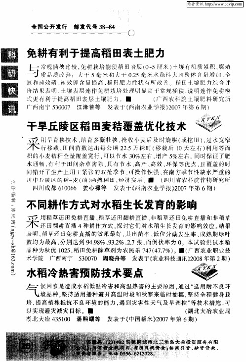 不同耕作方式对水稻生长发育的影响