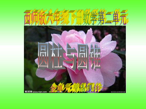 西师版六年级数学下册第二单元《圆柱与圆锥》全单元精品课件