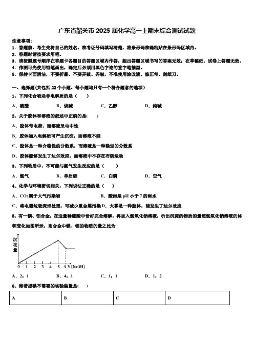 广东省韶关市2025届化学高一上期末综合测试试题含解析