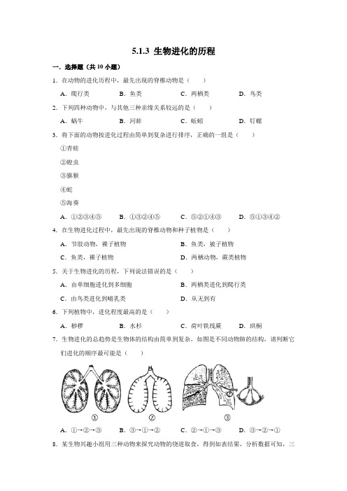 济南版生物八年级下册生物进化的历程