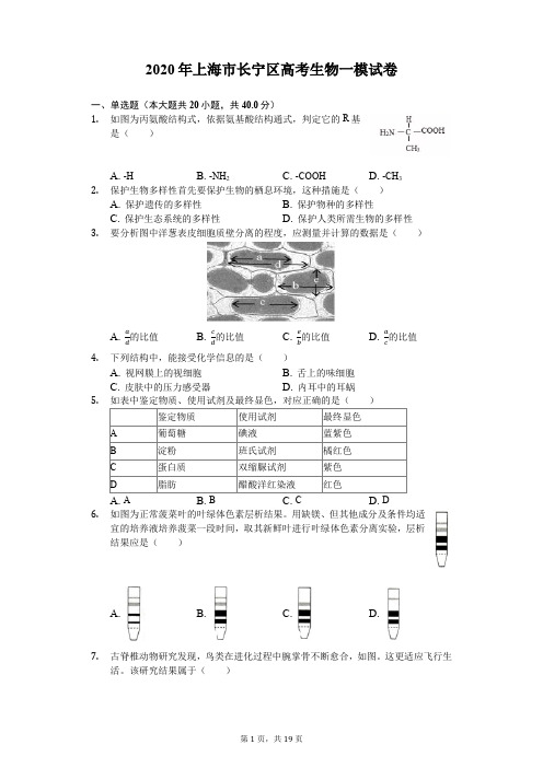 2020年上海市长宁区高考生物一模试卷(含解析)