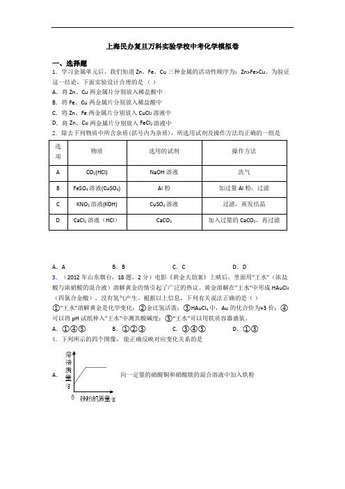 上海民办复旦万科实验学校中考化学模拟卷