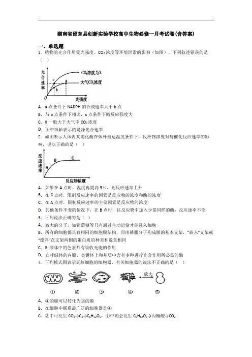 湖南省邵东县创新实验学校高中生物必修一月考试卷(含答案)