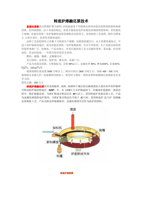 转底炉直接还原炼铁技术20100818