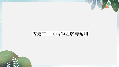 七年级语文上册 专题2 词语的理解与运用习题课件 新人教版