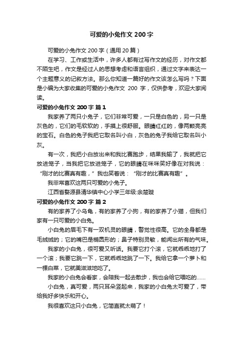 可爱的小兔作文200字