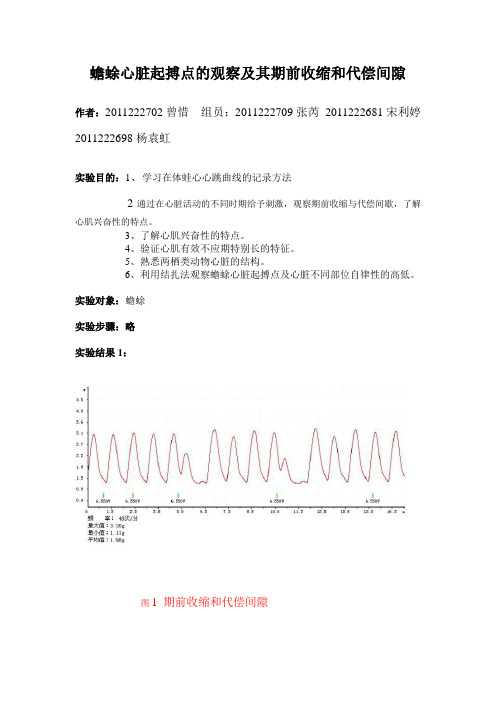 蟾蜍心脏起搏点的观察及其期前收缩和代偿间隙