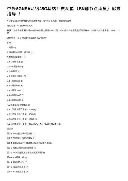 中兴5GNSA网络45G基站计费功能（SN辅节点流量）配置指导书