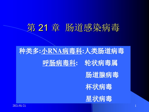 医学微生物学-肠道感染病毒PPT教学课件