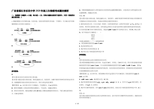 广东省湛江市乐民中学2020年高三生物联考试题含解析