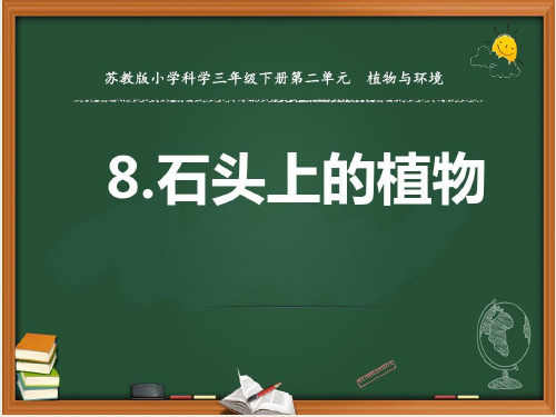 新苏教版三年级科学下册第二单元《石头上的植物》优质PPT课件