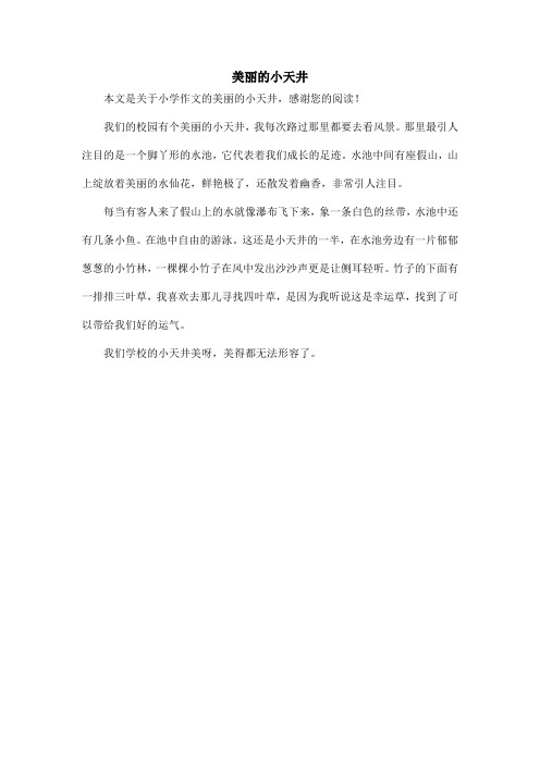 美丽的小天井_小学作文