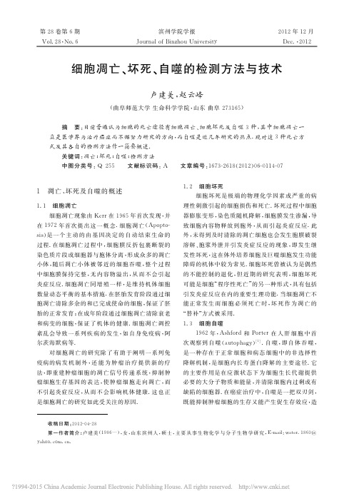 细胞凋亡、坏死、自噬的检测方法与技术