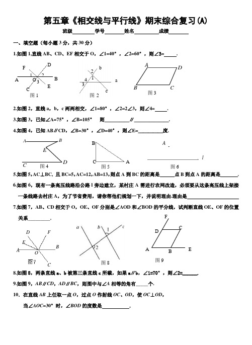 《相交线与平行线》期末综合