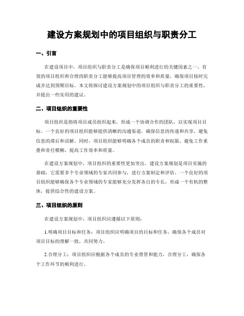 建设方案规划中的项目组织与职责分工