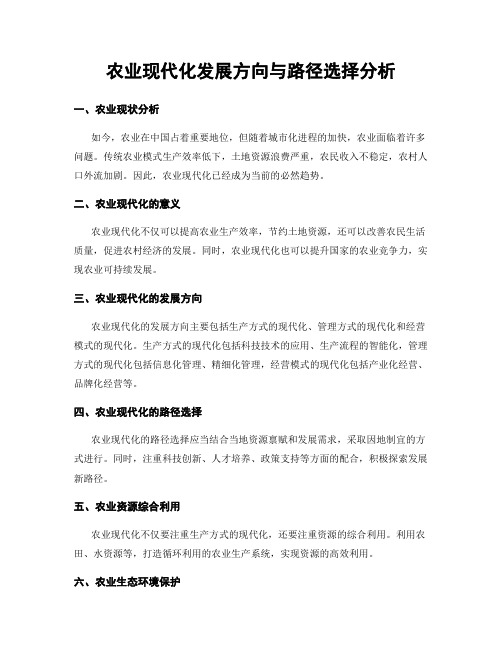 农业现代化发展方向与路径选择分析