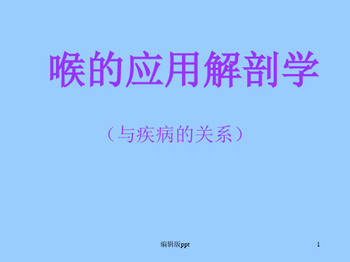 喉教学ppt课件