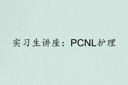 实习生讲座：PCNL护理